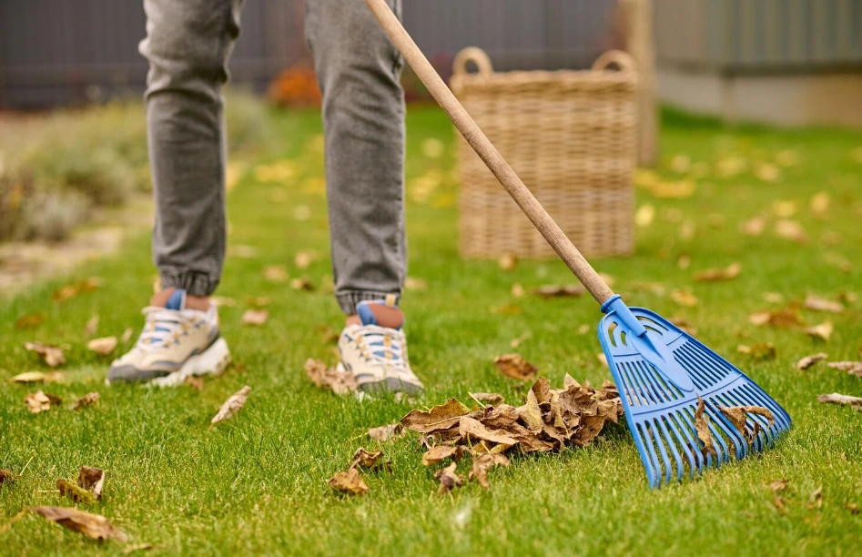Garden tidy service before property photography