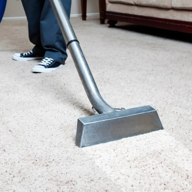 When Should You Call a Professional Carpet Cleaner